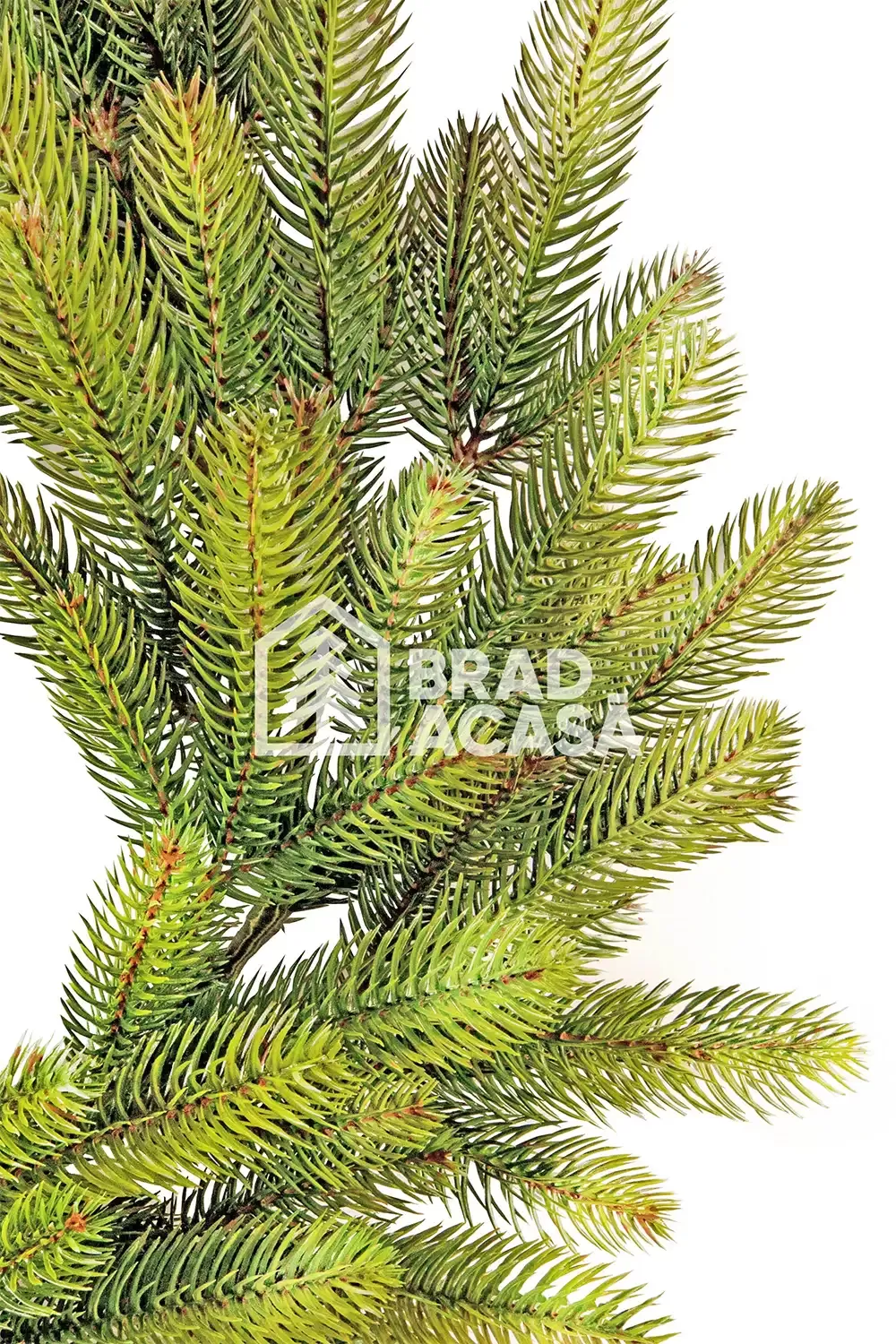 Венок Barocco Green-2