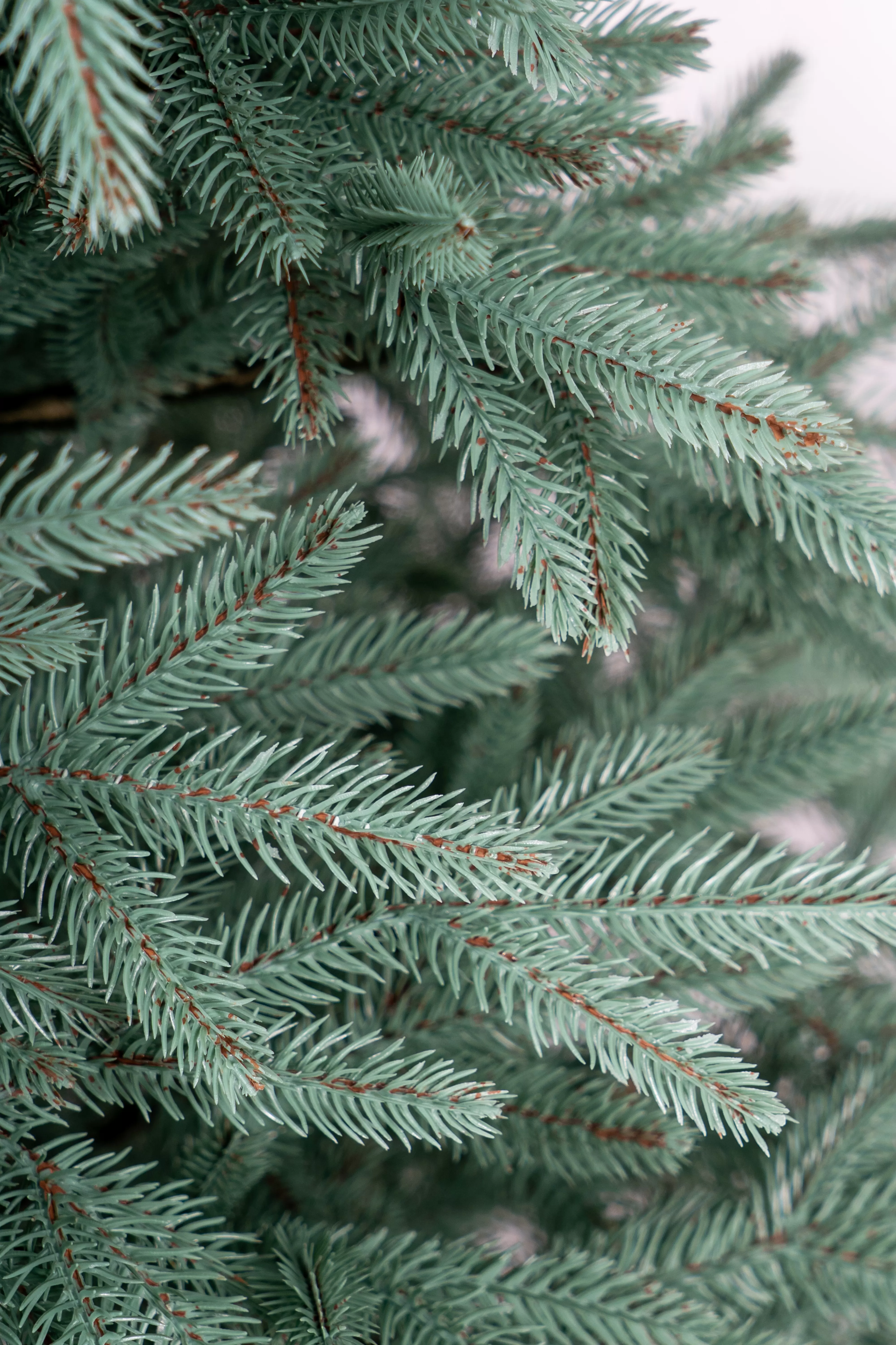 Искусственная ёлка Nordic Blue-2