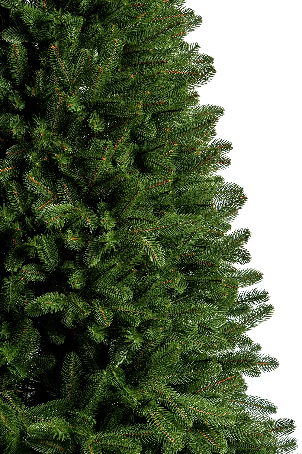 Brad artificial Barocco-2