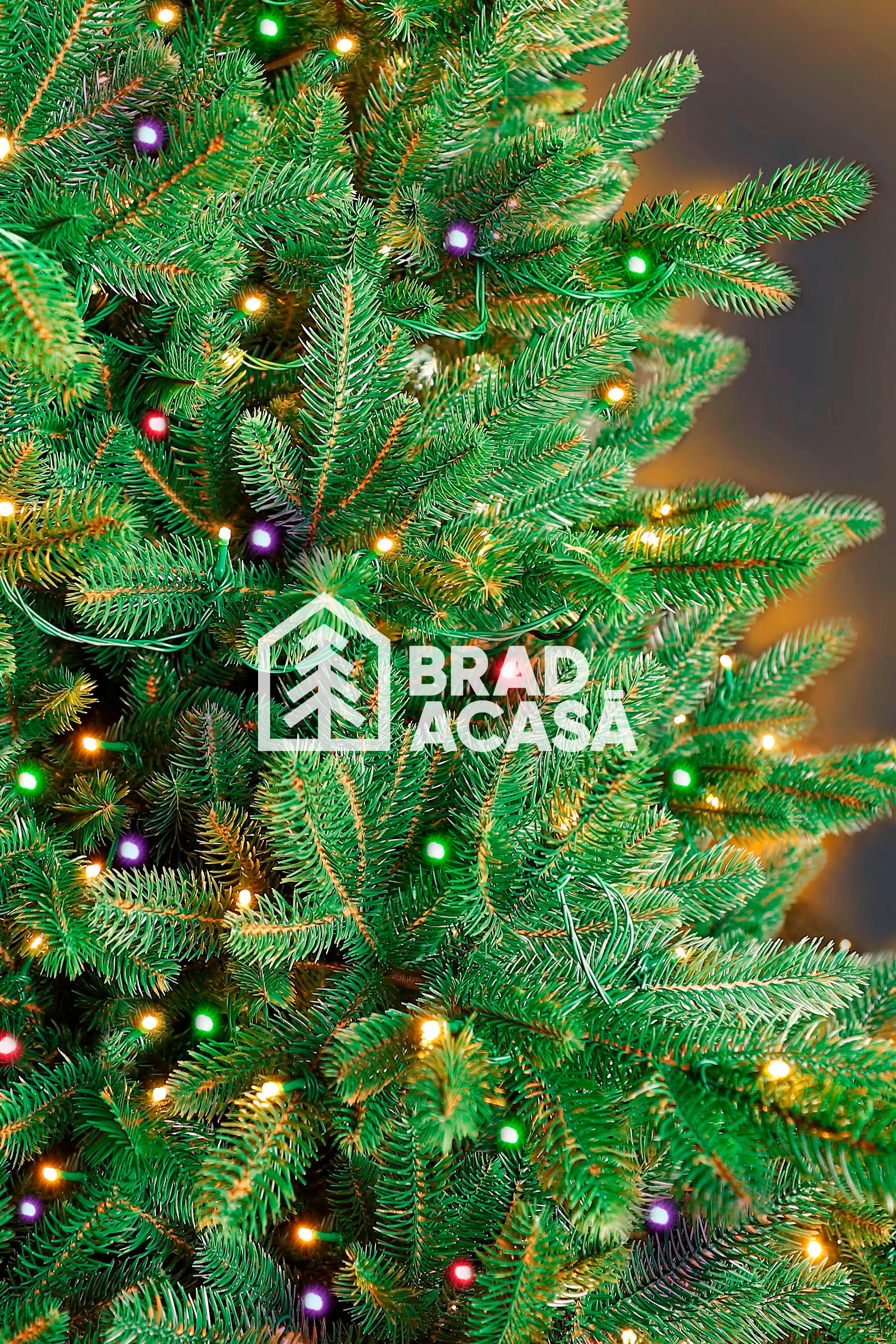 Brad Artificial Norwegian Light-2