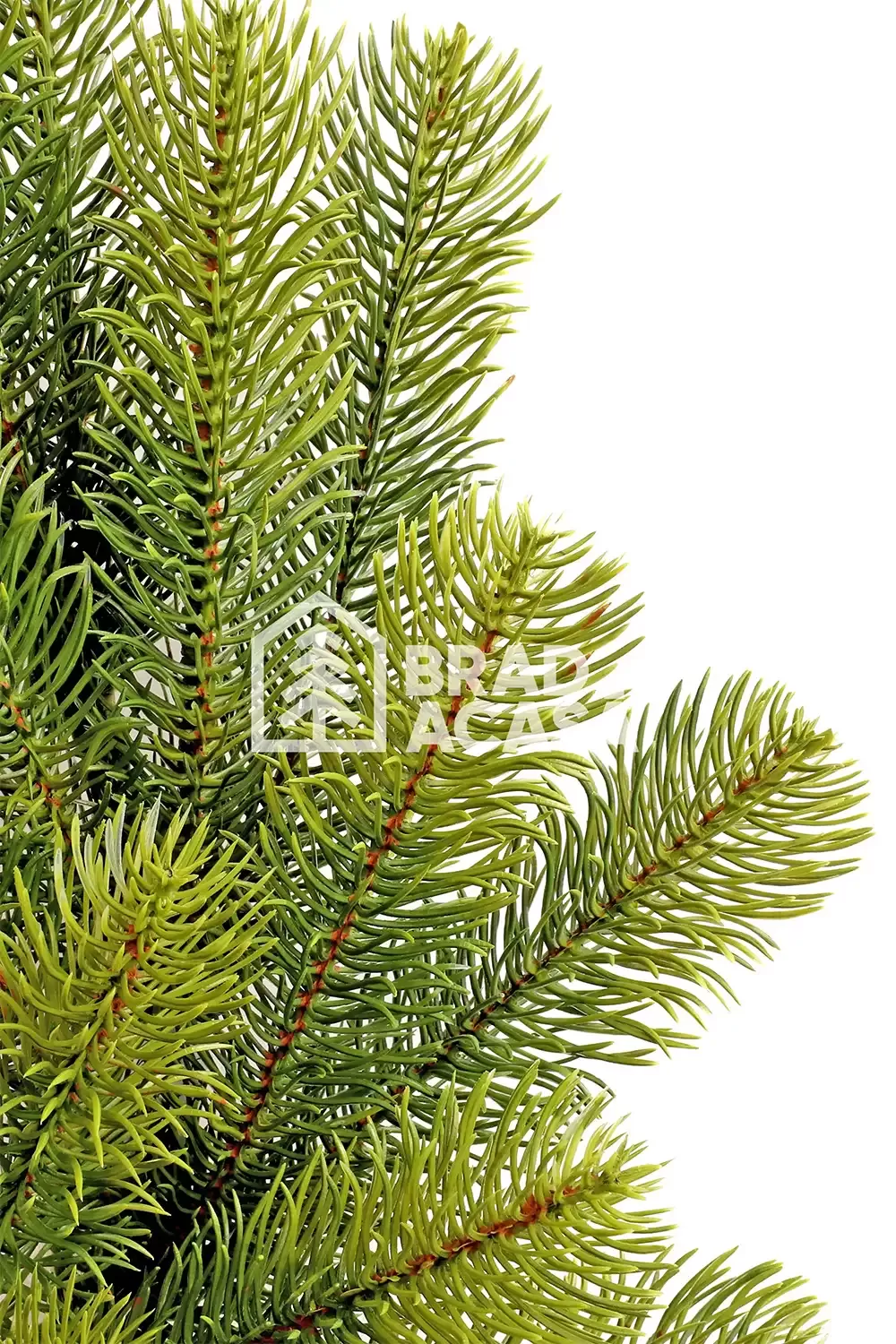 Венок Alpin Green-2